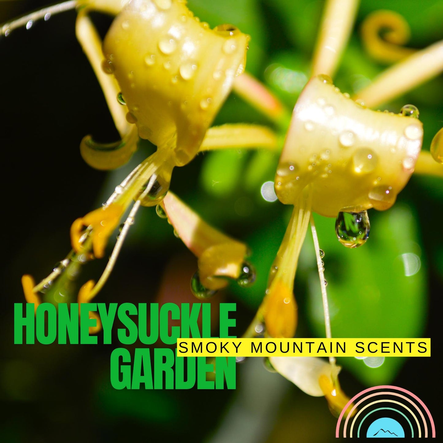 Honeysuckle Garden Eau De Parfum by Smoky Mountain Scents
